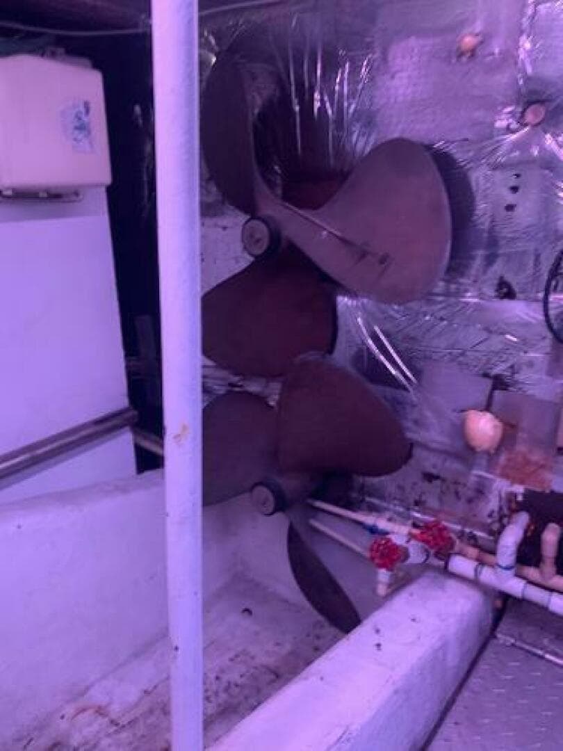 1985 Ocean Yachts 55 Super Sport