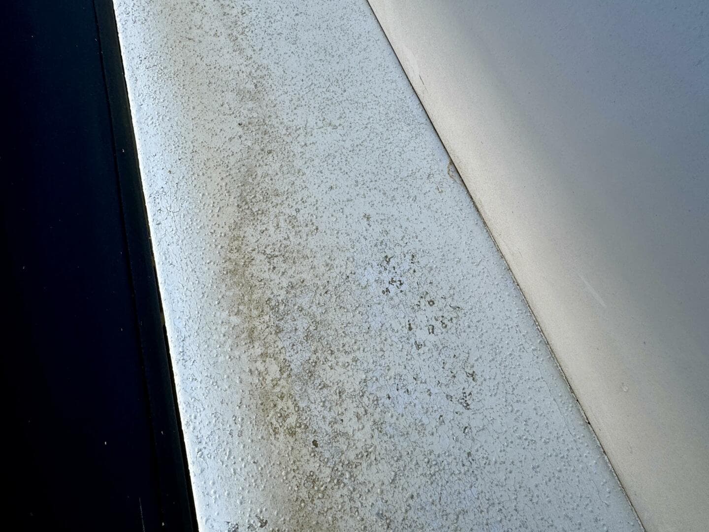 1987 Gibson 14 x 50 Standard