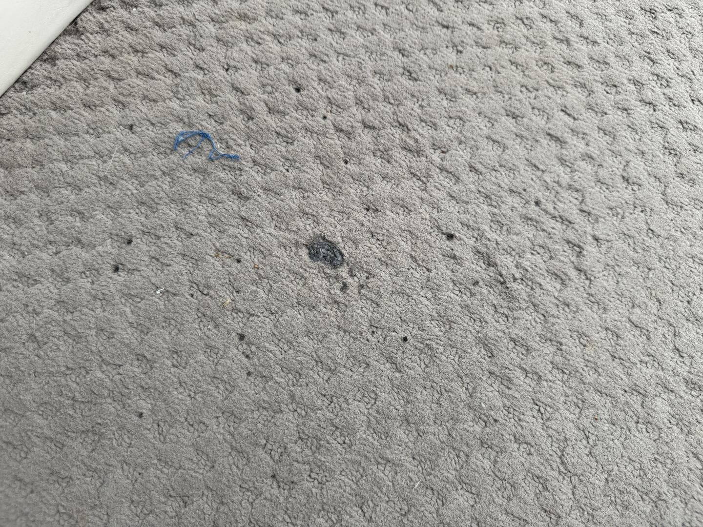 2002 Bennington 257L Pontoon Boat