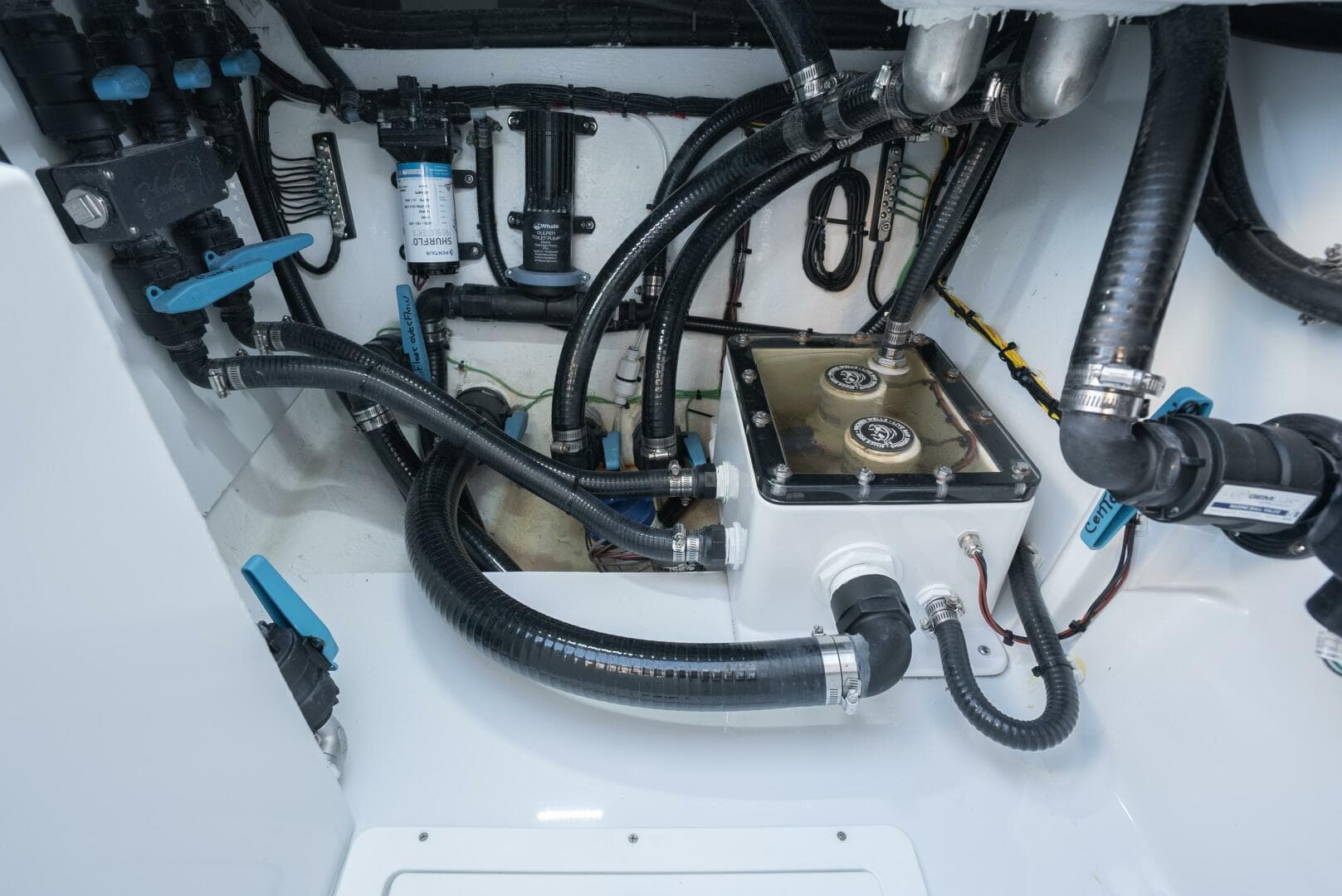 2026 Costa Custom 34sv