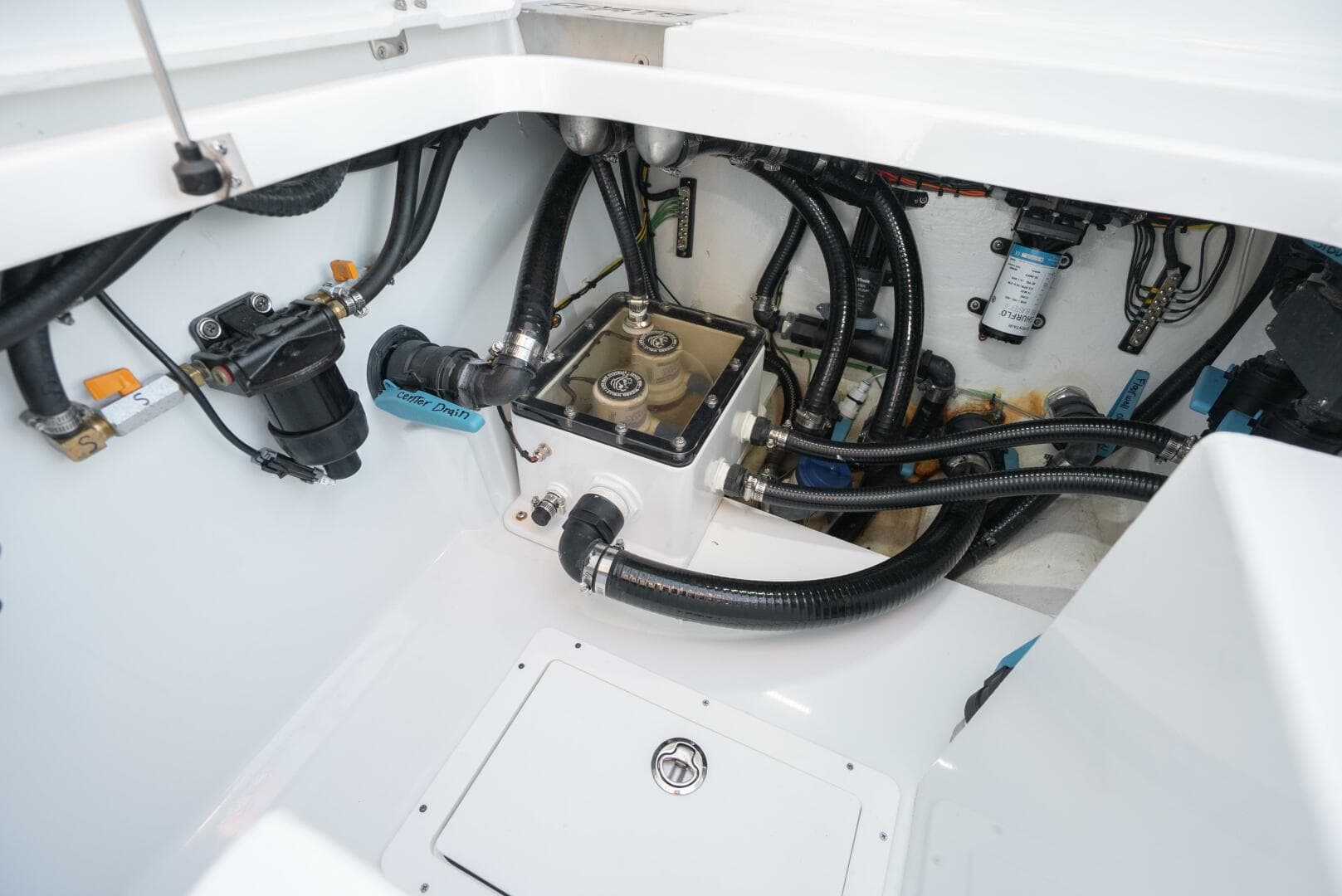 2026 Costa Custom 34sv