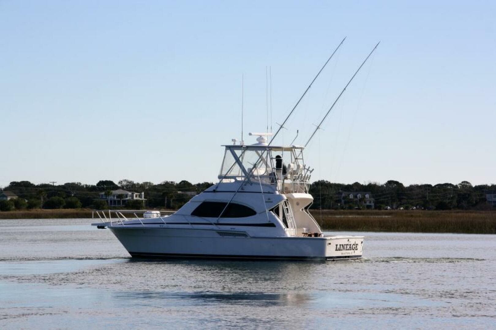 Bertram 39 Lineage- Profile