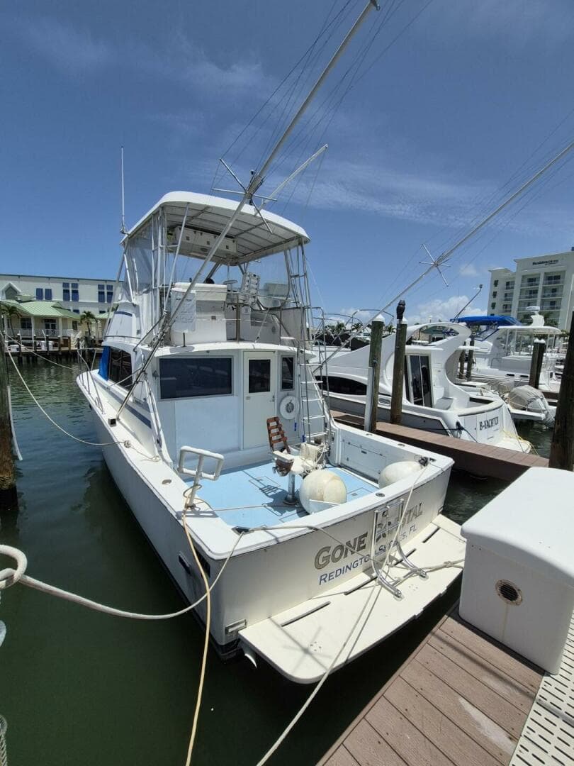 1982 Bertram 38 Convertible