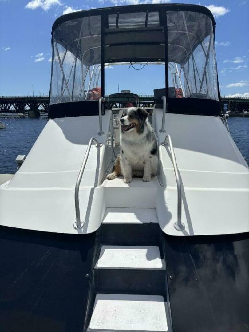 Bow Access To Flybridge