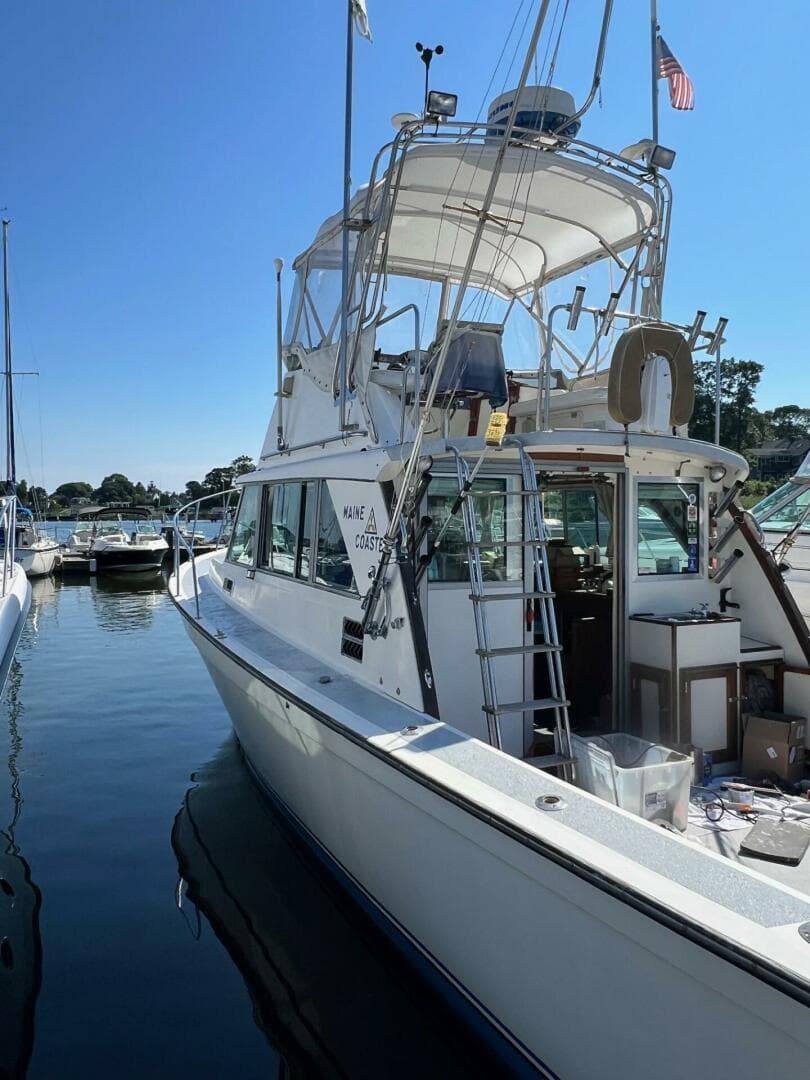 1984 Henriques Maine Coaster