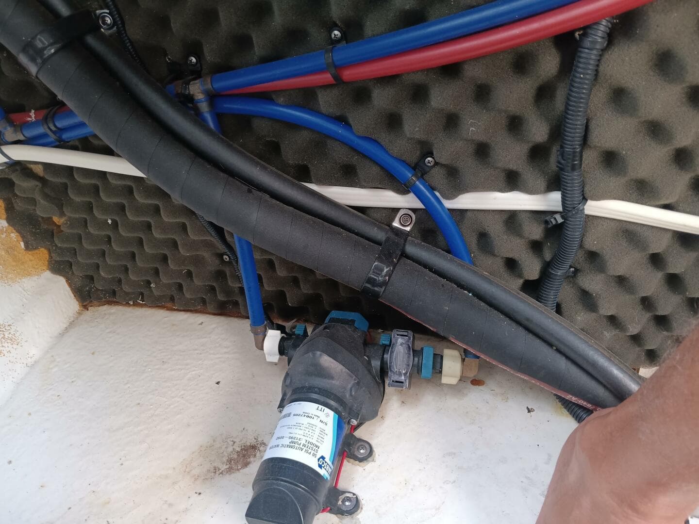 2010 Sea Ray 260 Sundancer