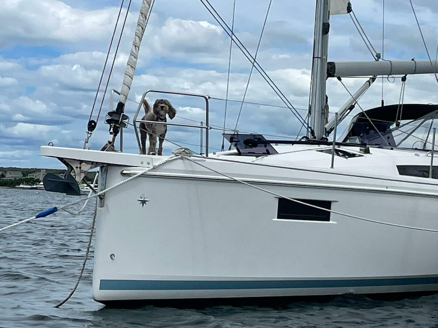 2020 Sun Odyssey 410