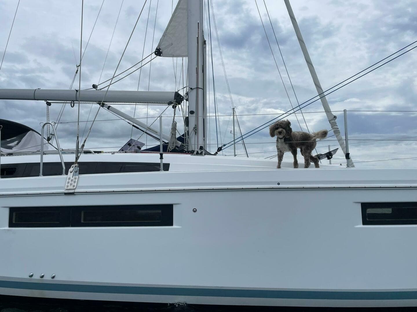 2020 Sun Odyssey 410