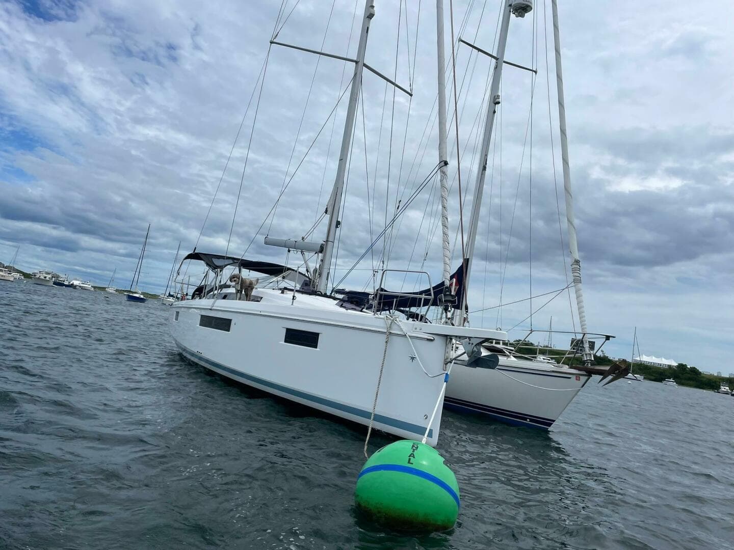 2020 Sun Odyssey 410