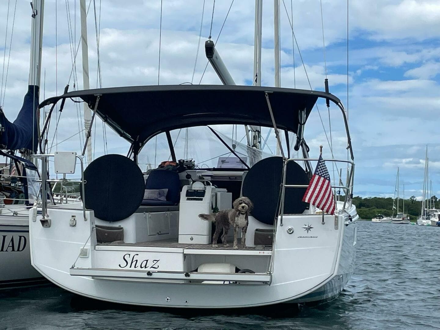 2020 Sun Odyssey 410