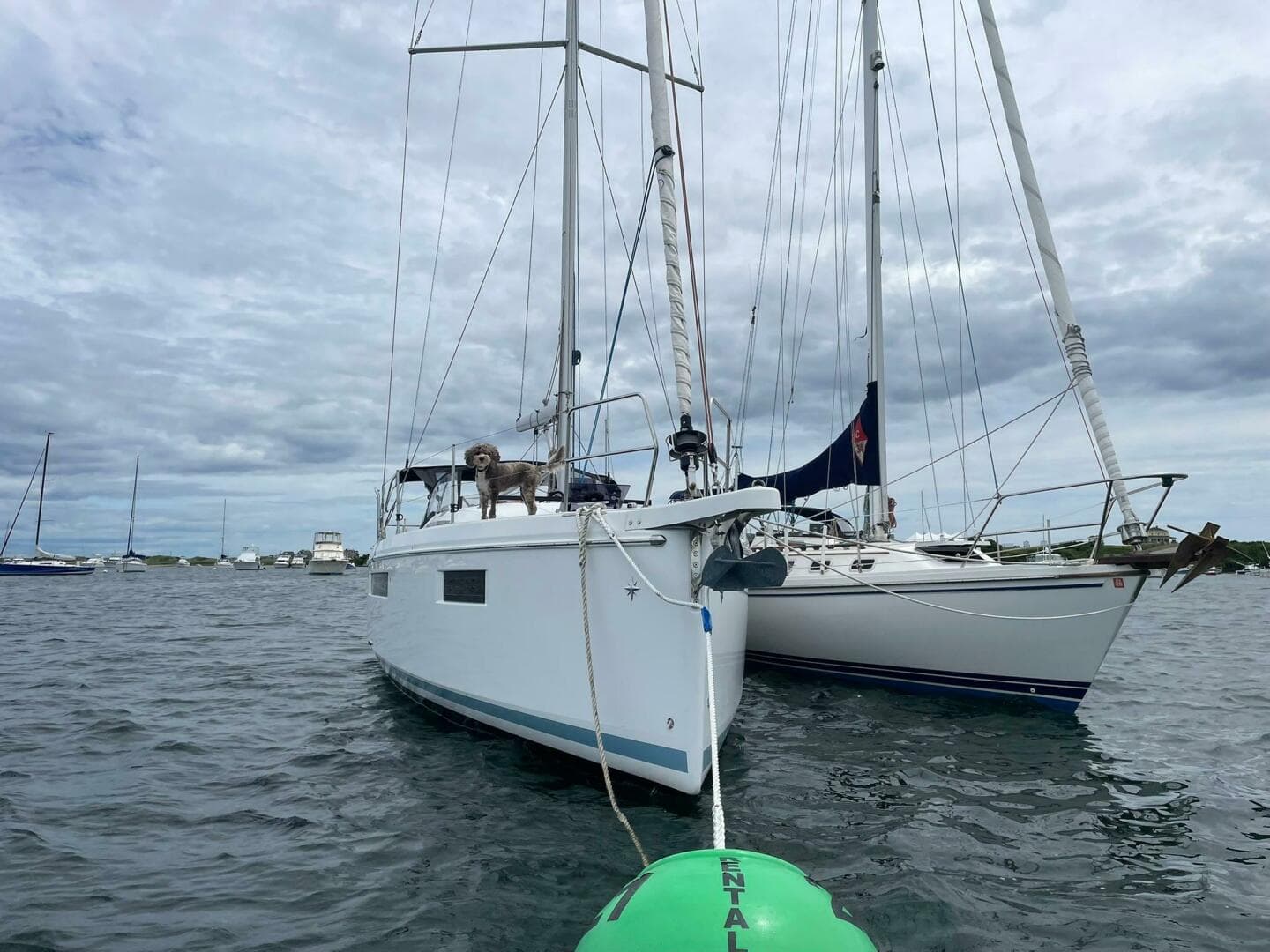 2020 Sun Odyssey 410