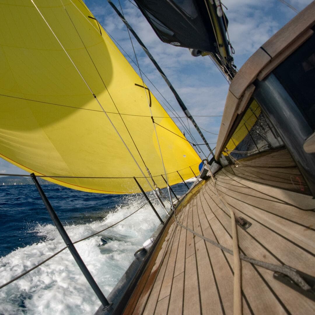 2026 Black Pepper Code 2