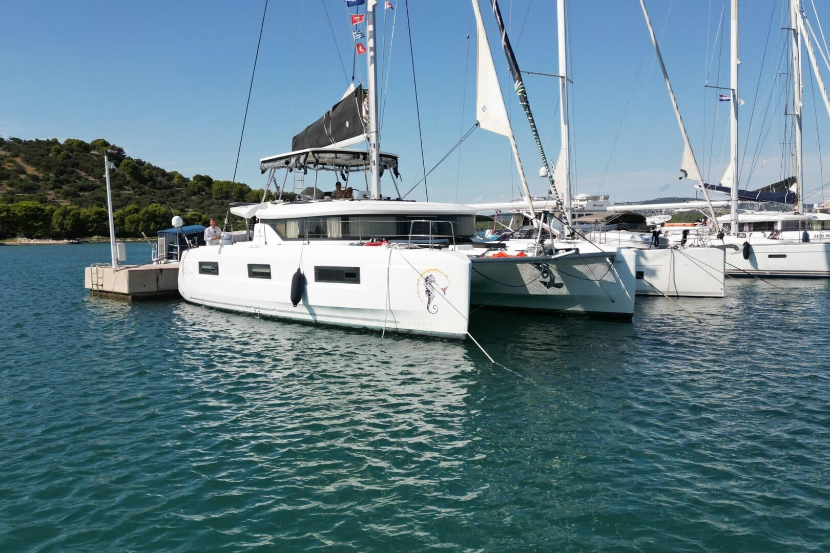 2020-lagoon-46-sail-9906407-20250830005751107-3.jpg