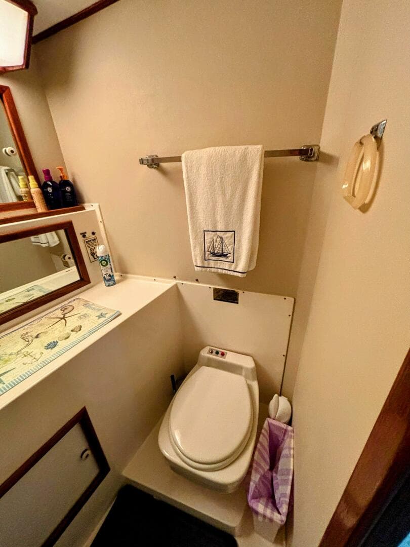 1977 Bertram 42 Motor Yacht