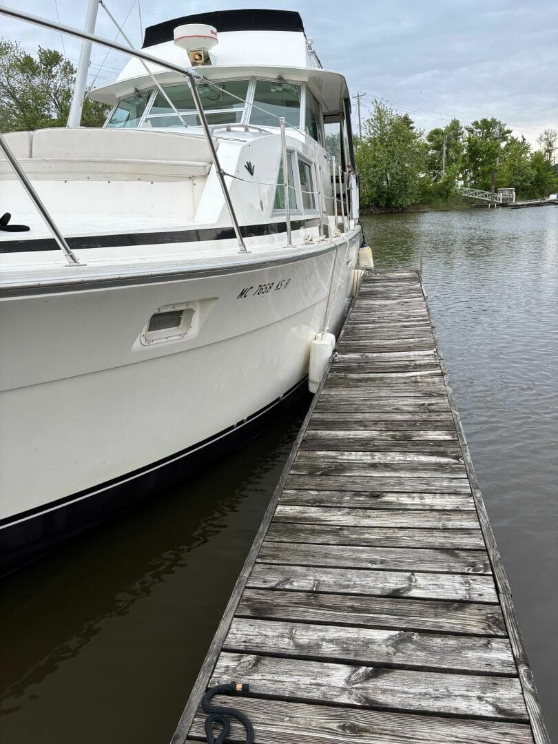 1977 Bertram 42 Motor Yacht
