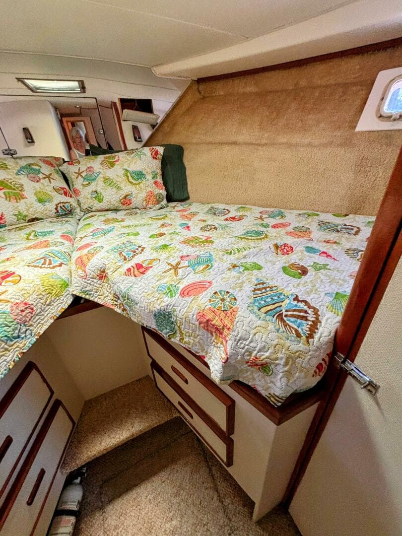 1977 Bertram 42 Motor Yacht