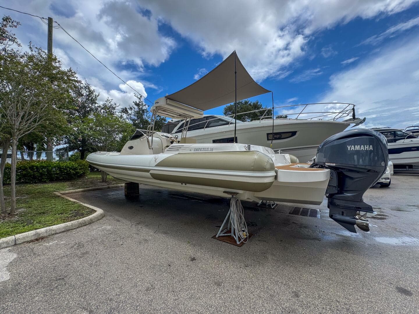 2023 Tender Impetus 36