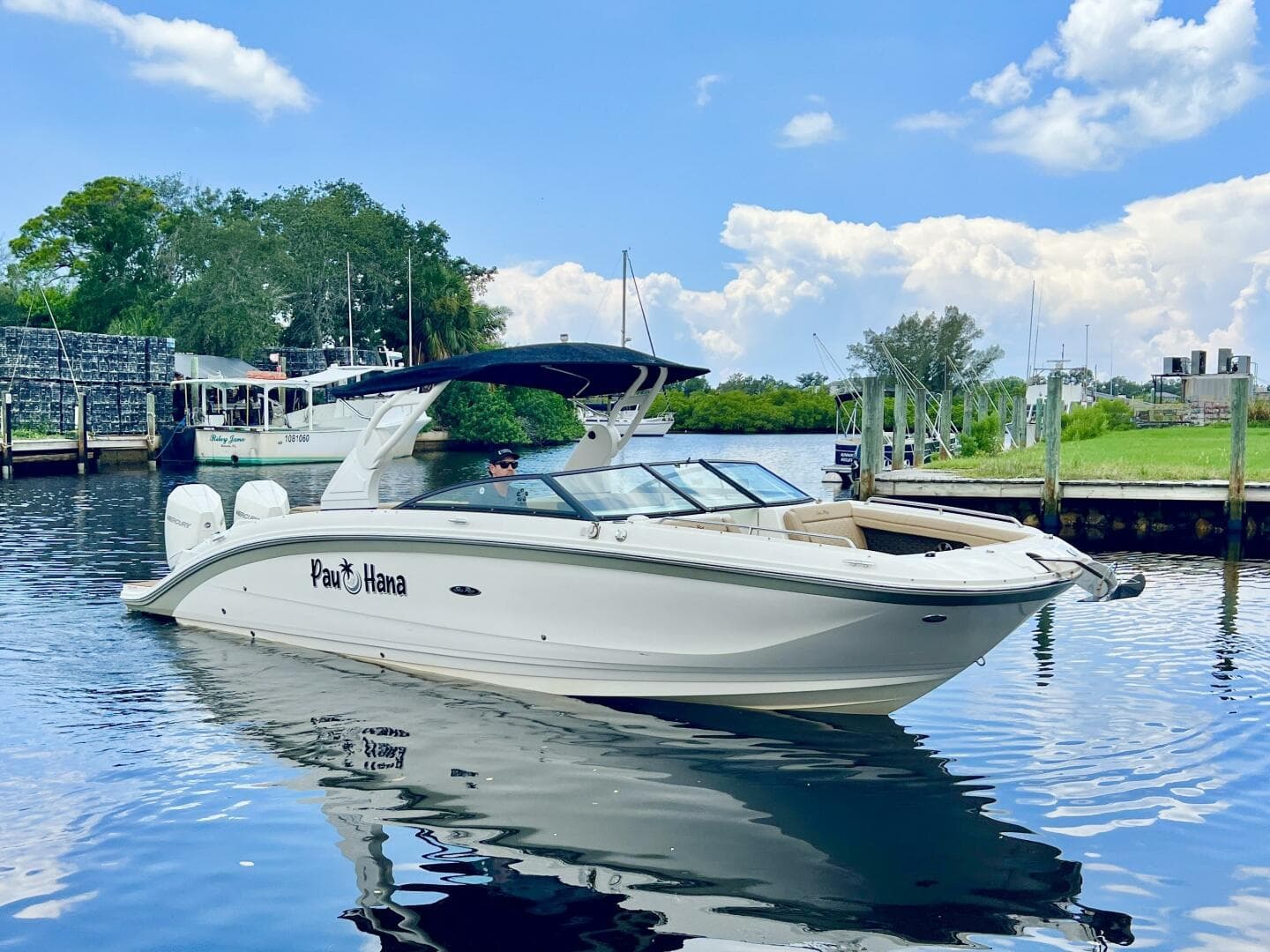 2019 Sea Ray SDX 290 OB