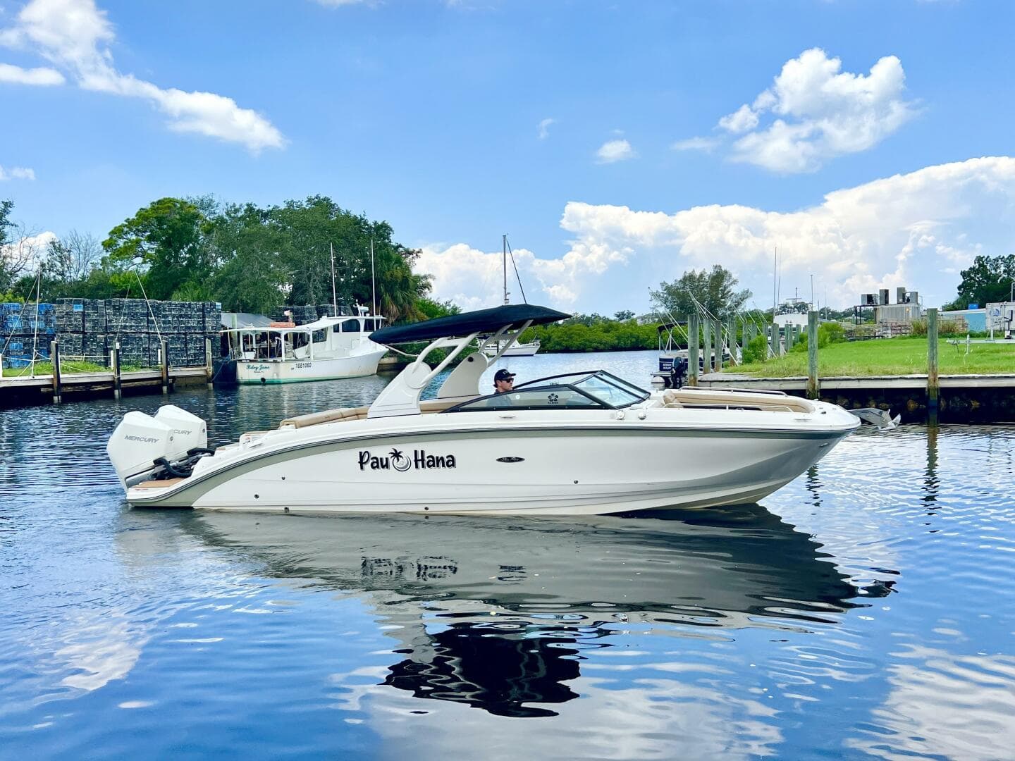 2019 Sea Ray SDX 290 OB