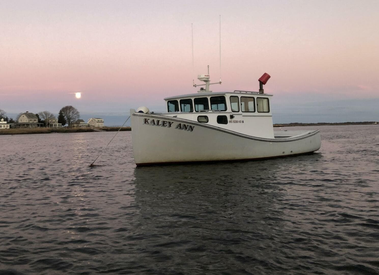 1982 Stanley Greenwood Novi