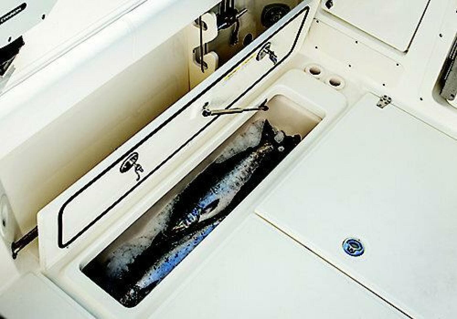 2019 Boston Whaler Conquest