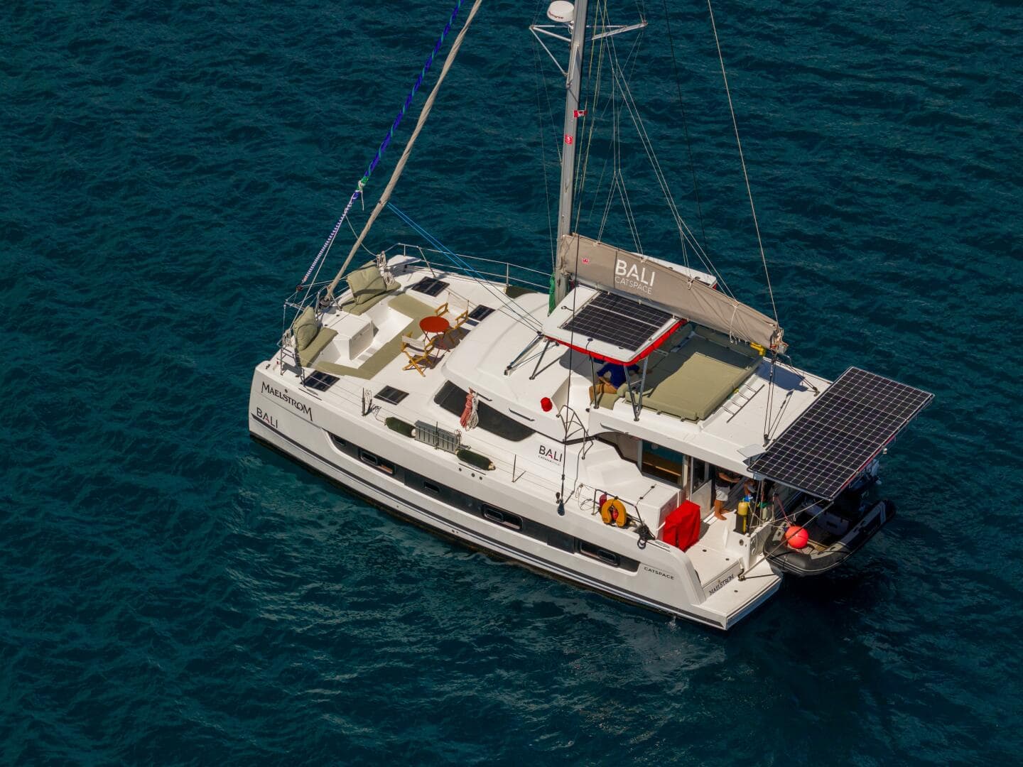 2024 Bali Catspace