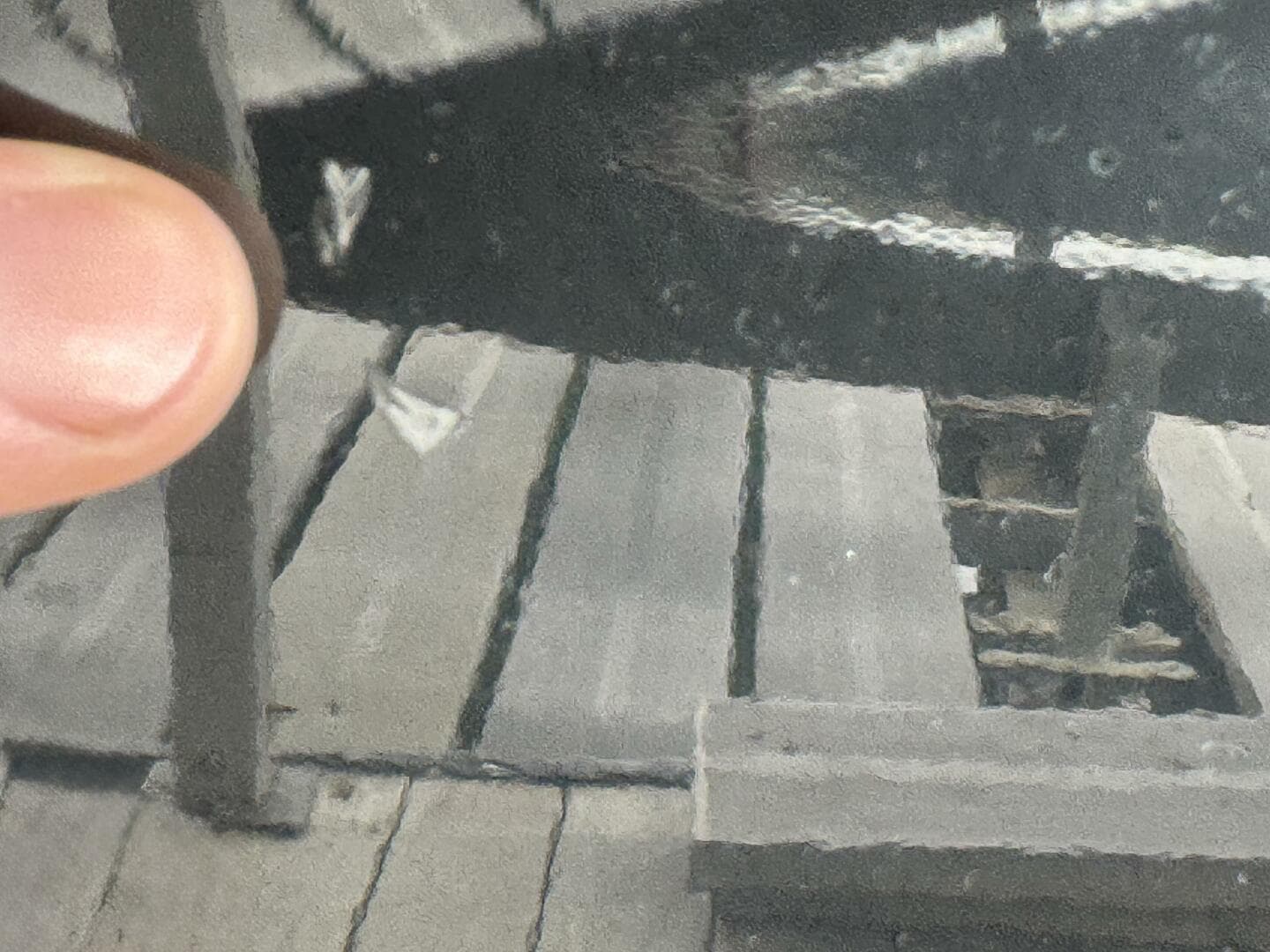 2024 Yamaha Boats 252 SD