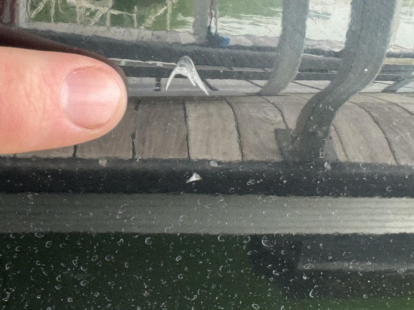 2024 Yamaha Boats 252 SD