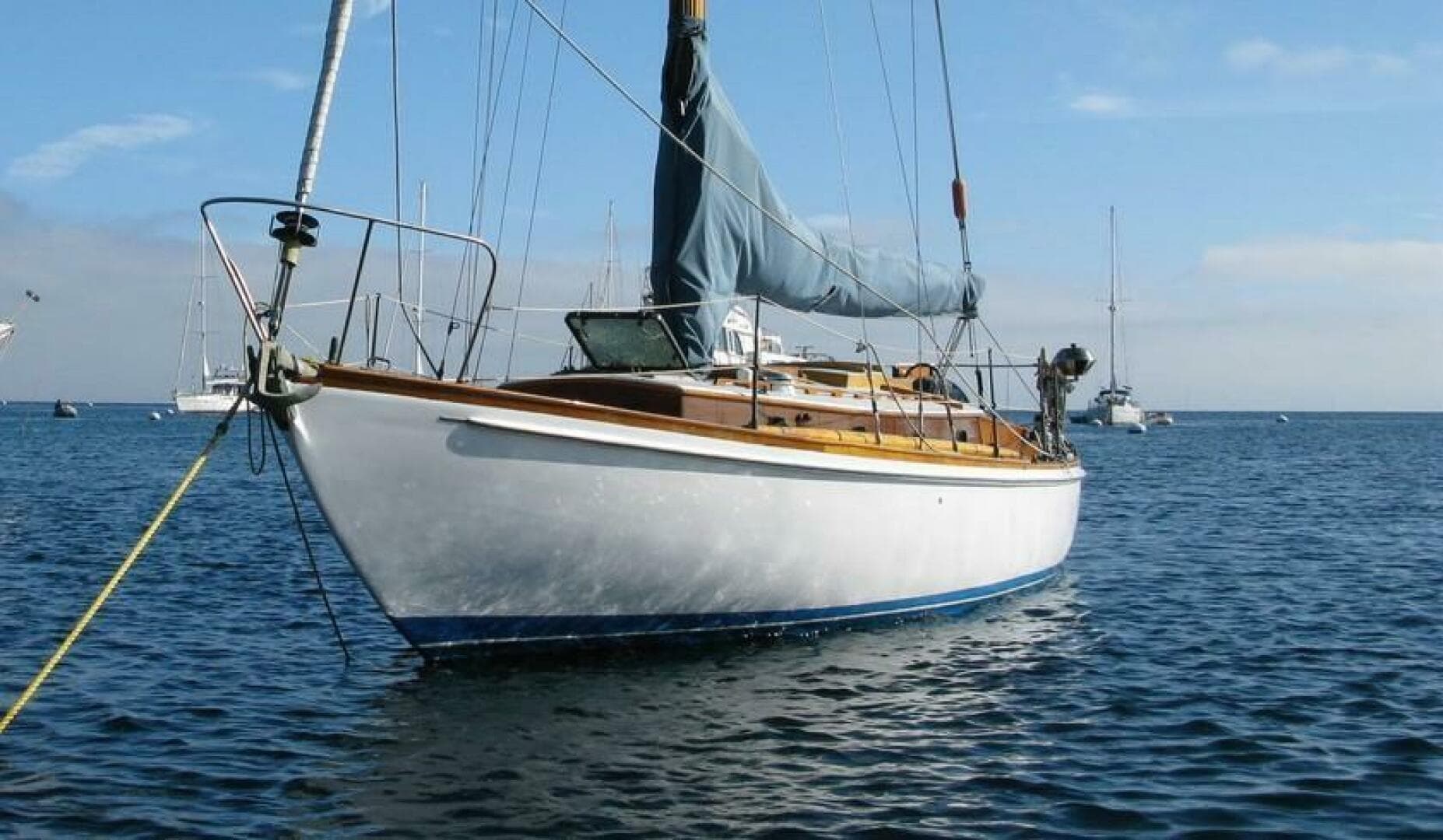 1962 Custom McIntosh Merrywing