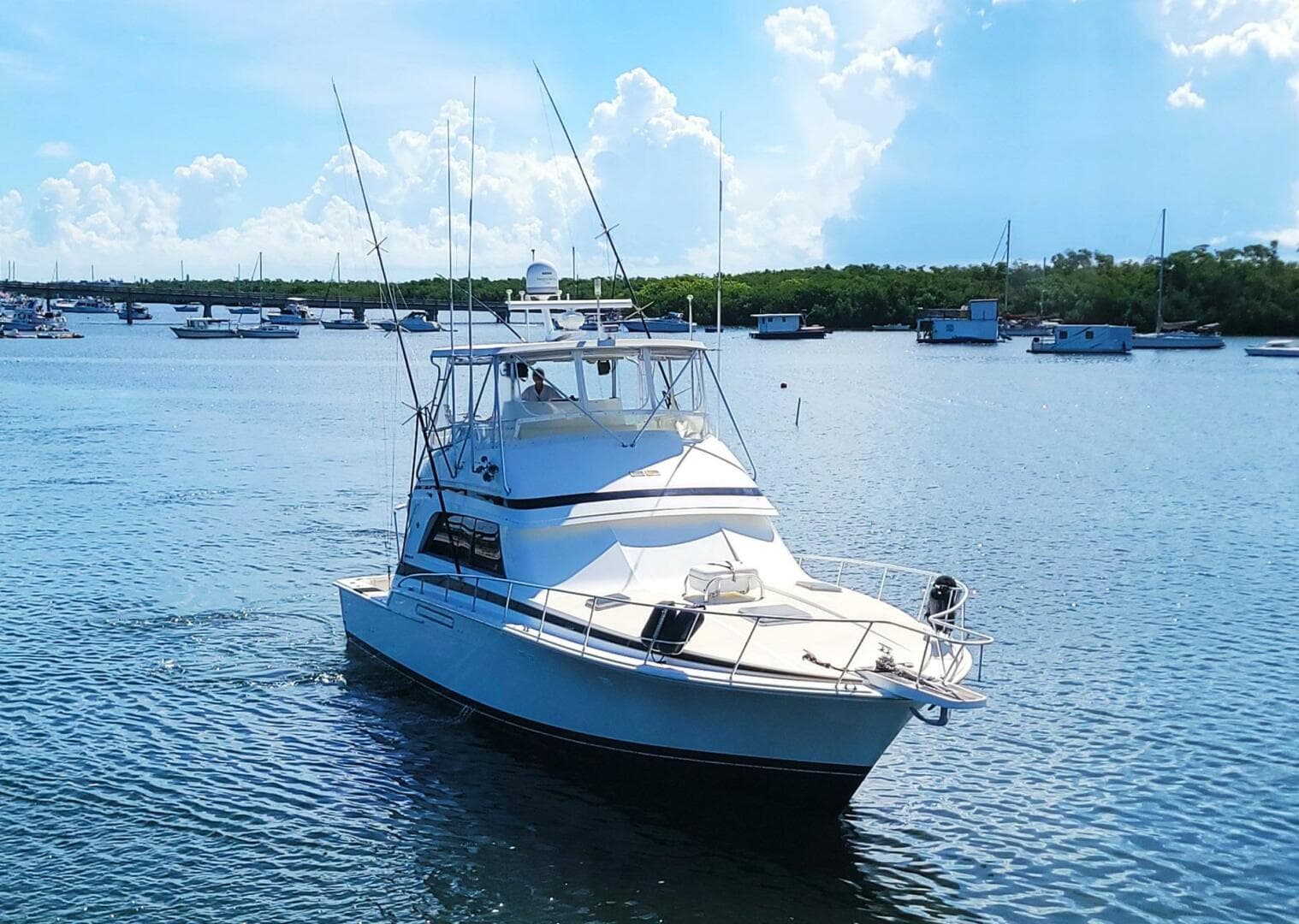 1989 Bertram 50 Convertible