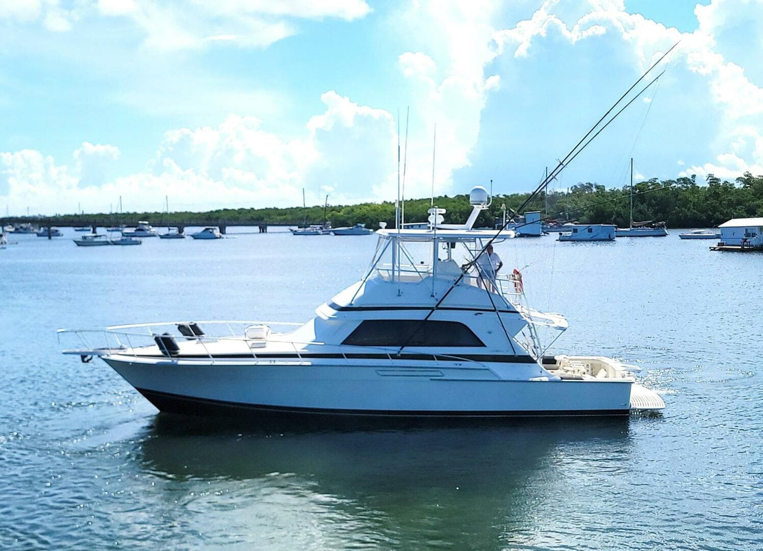 1989 Bertram 50 Convertible