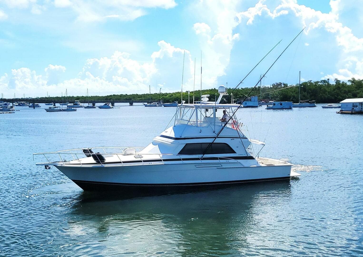 1989 Bertram 50 Convertible