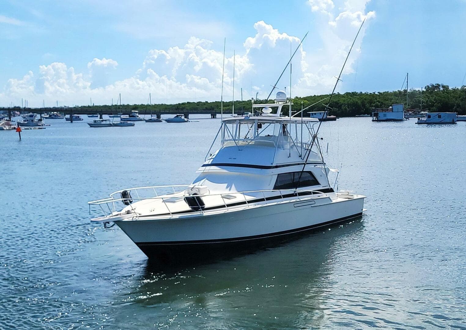 1989 Bertram 50 Convertible