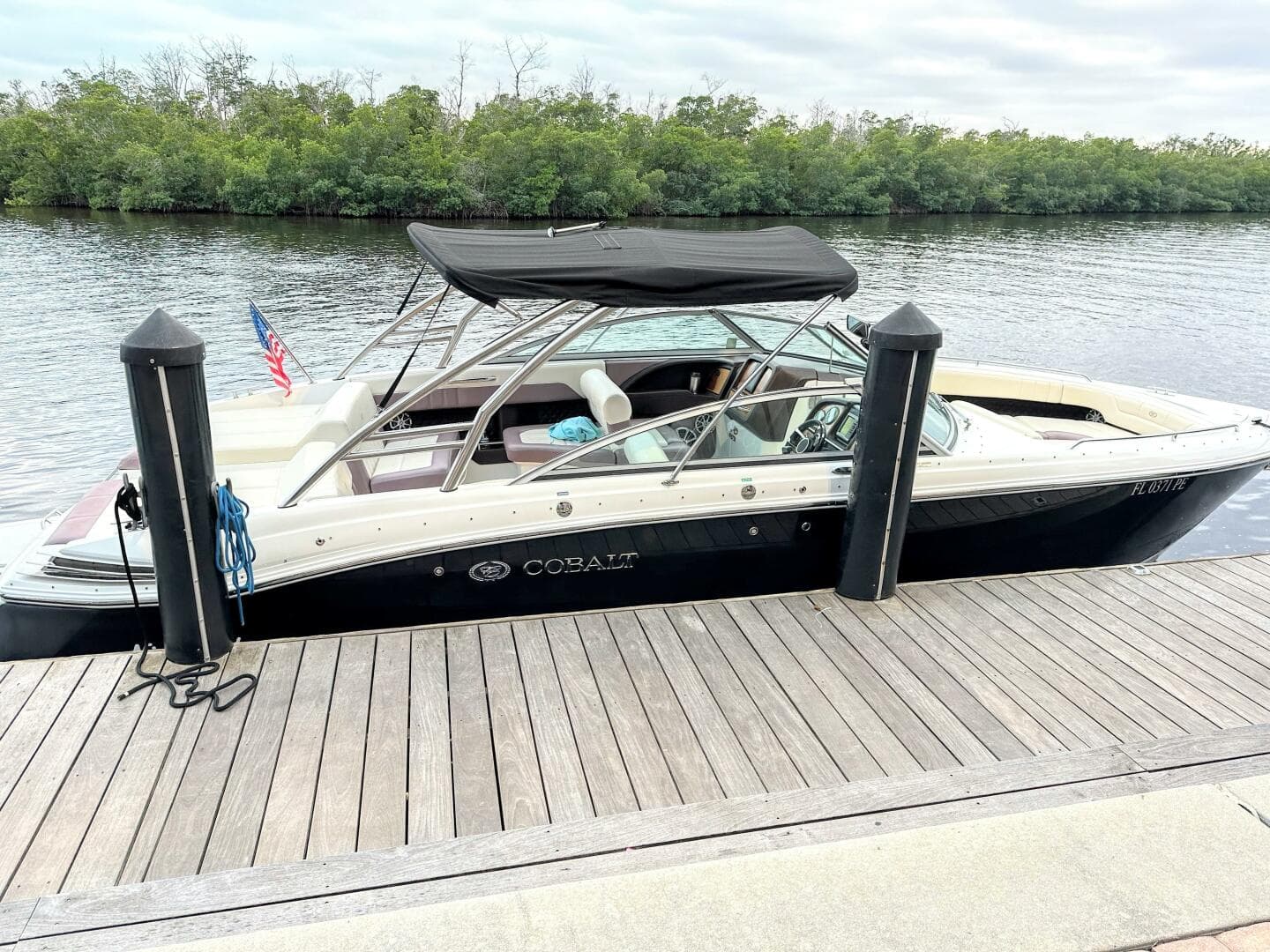 2010 Cobalt 296 Profile 2