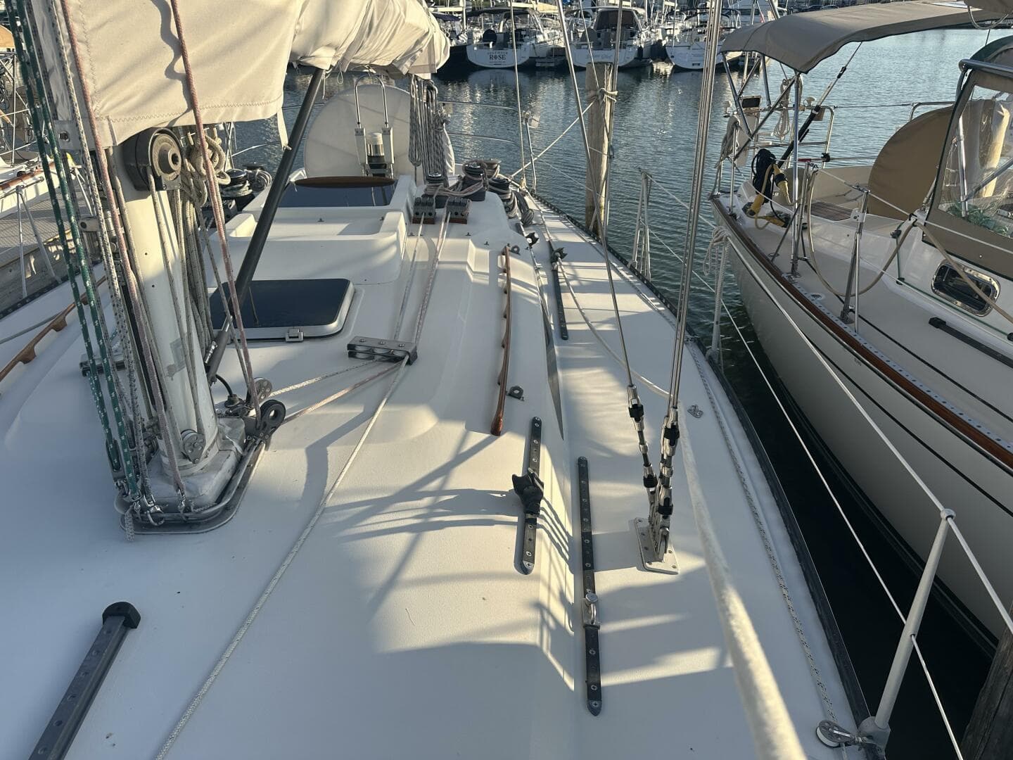 1984 C&C 41