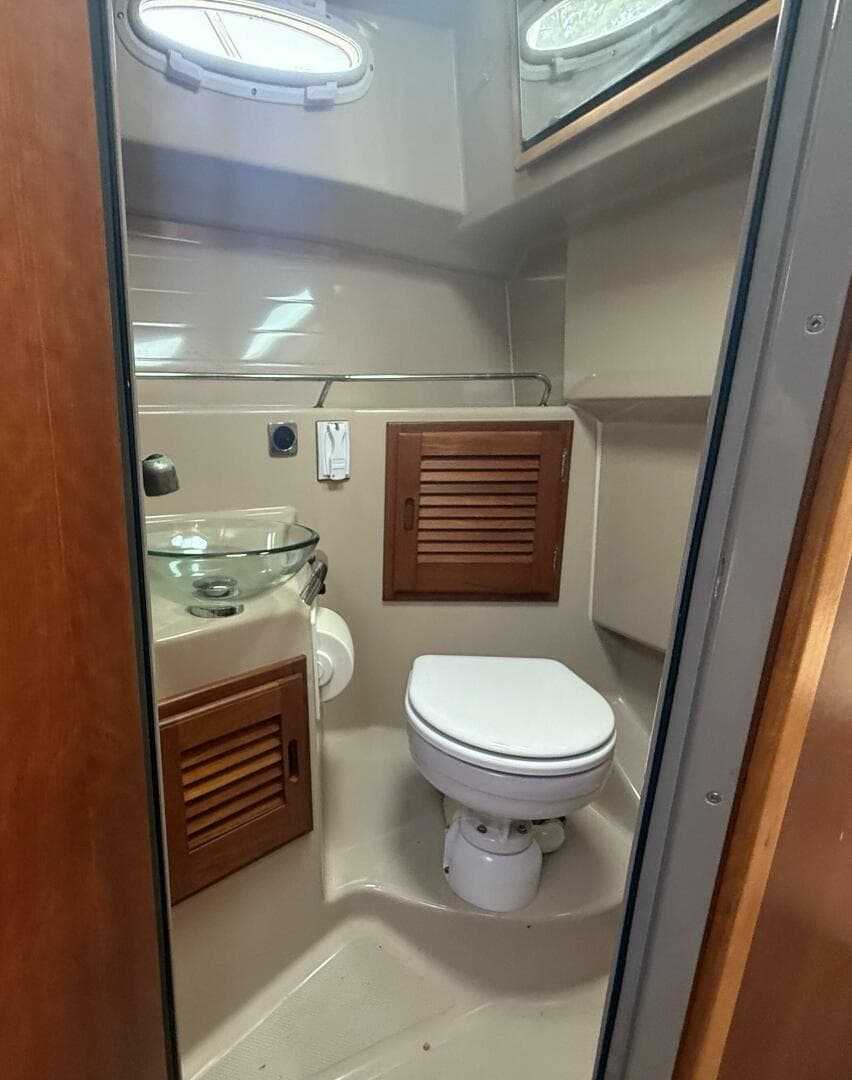 IMG_20251017_154435 (1)