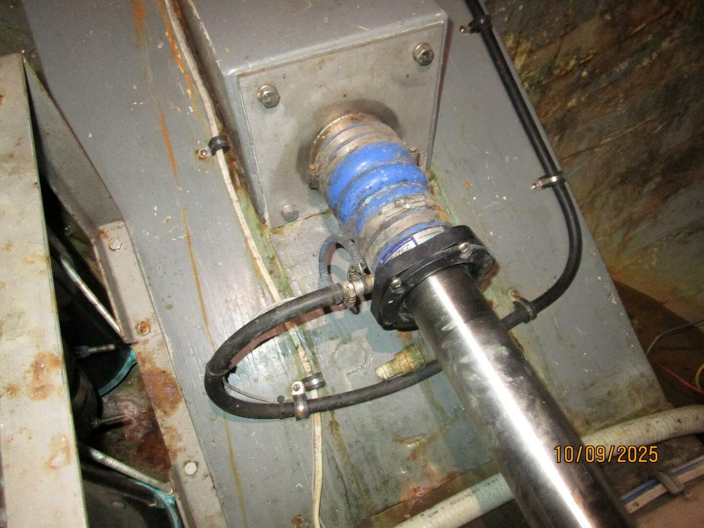 Choptank dripless shaft seal