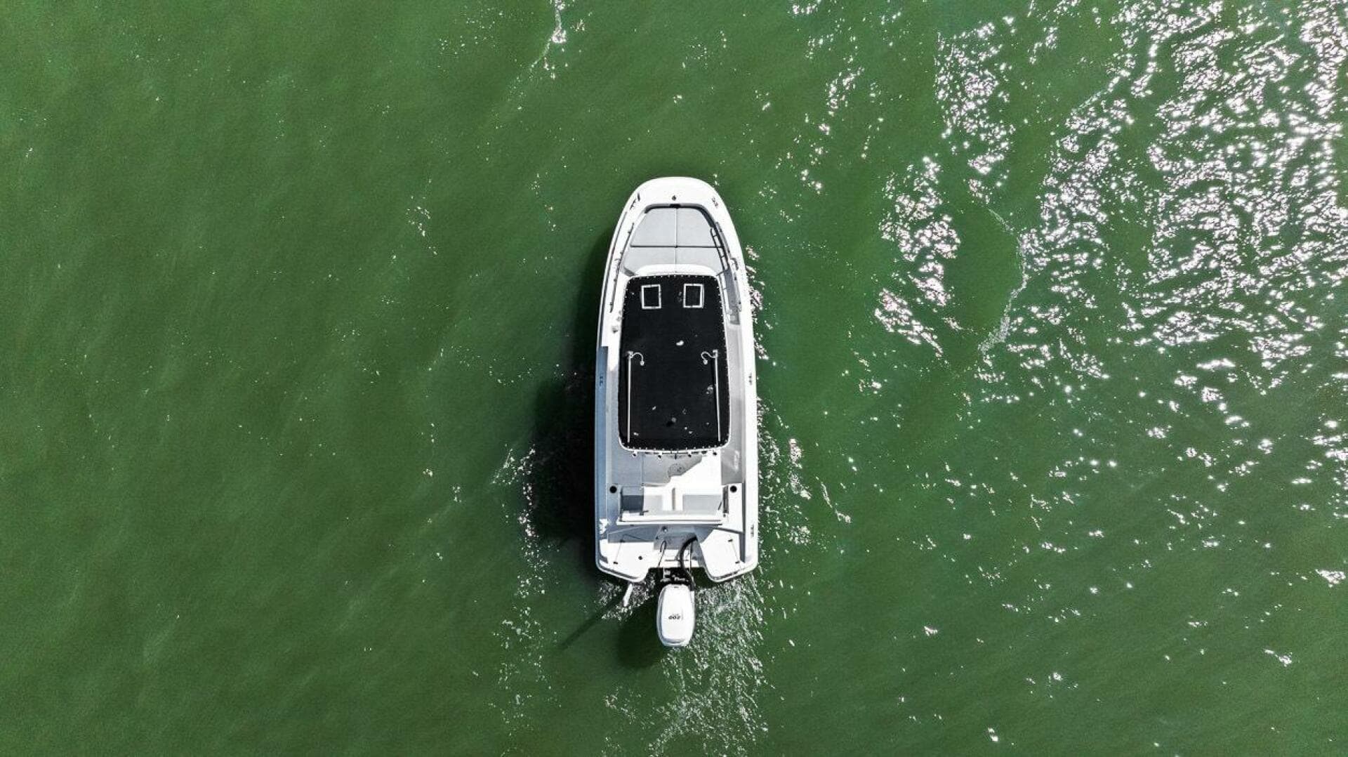 2016 Boston Whaler 210 Dauntless