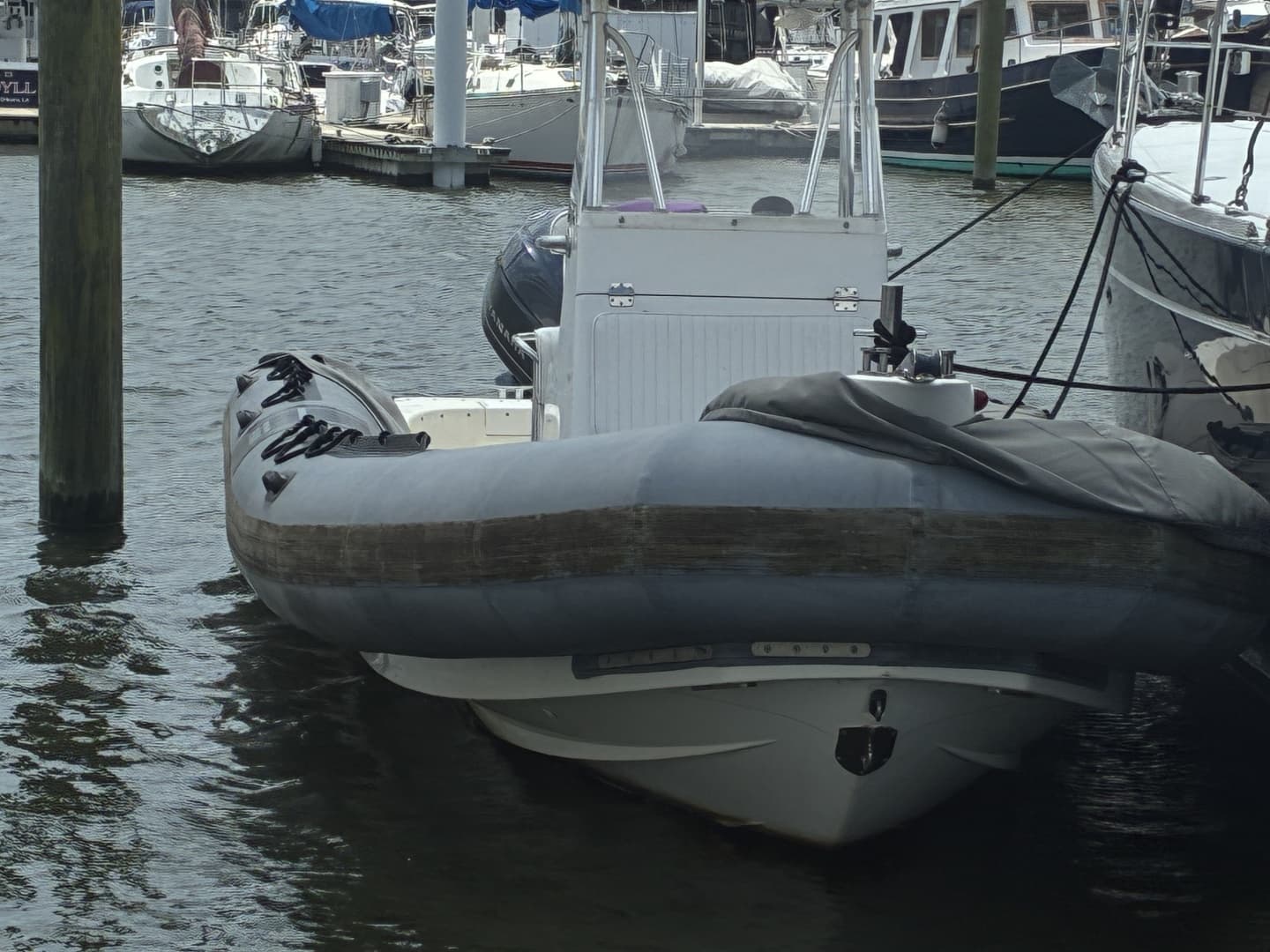 2008 Zodiac Pro 20 Man - Engine