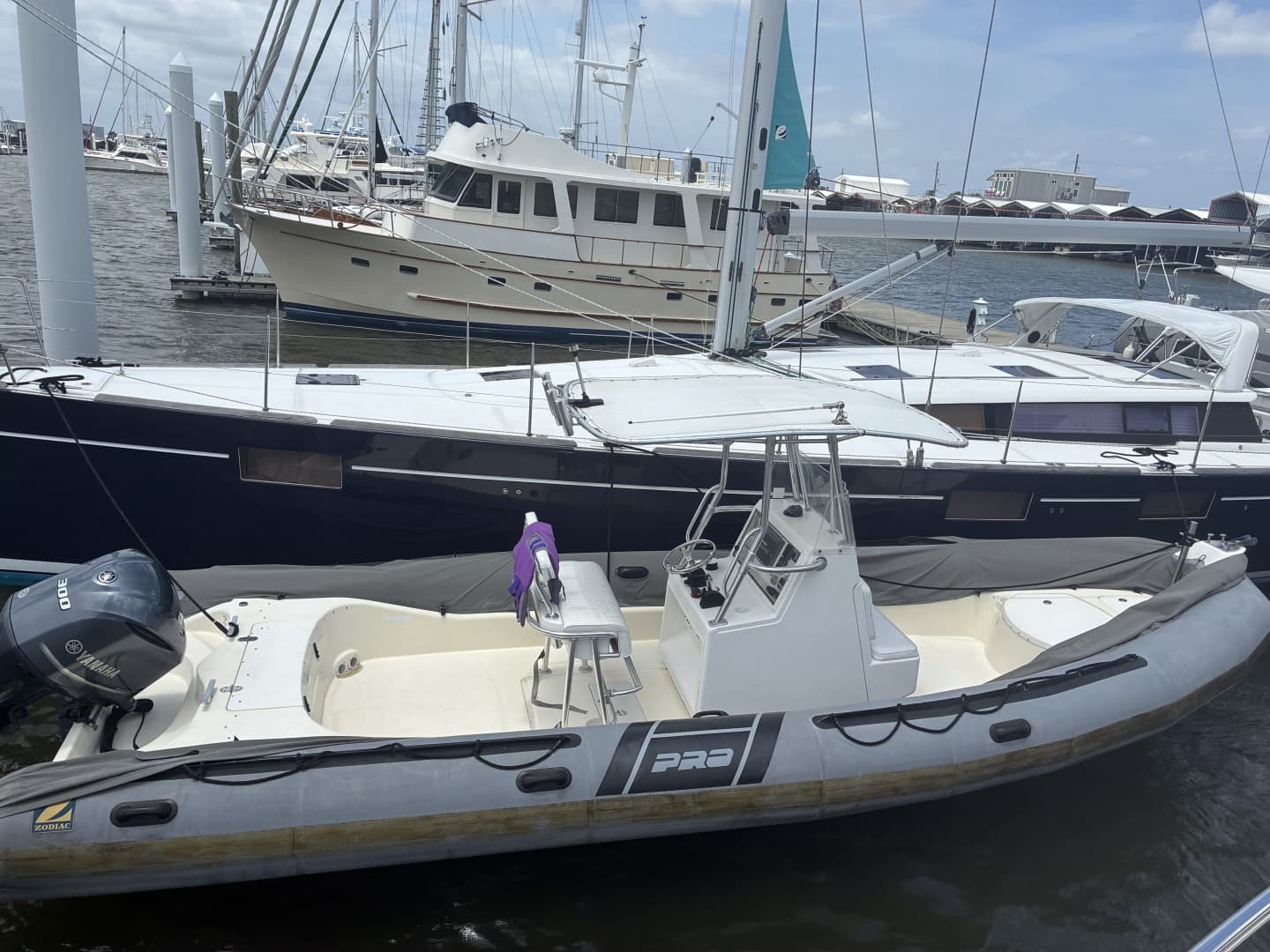 2008 Zodiac Pro 20 Man - Engine