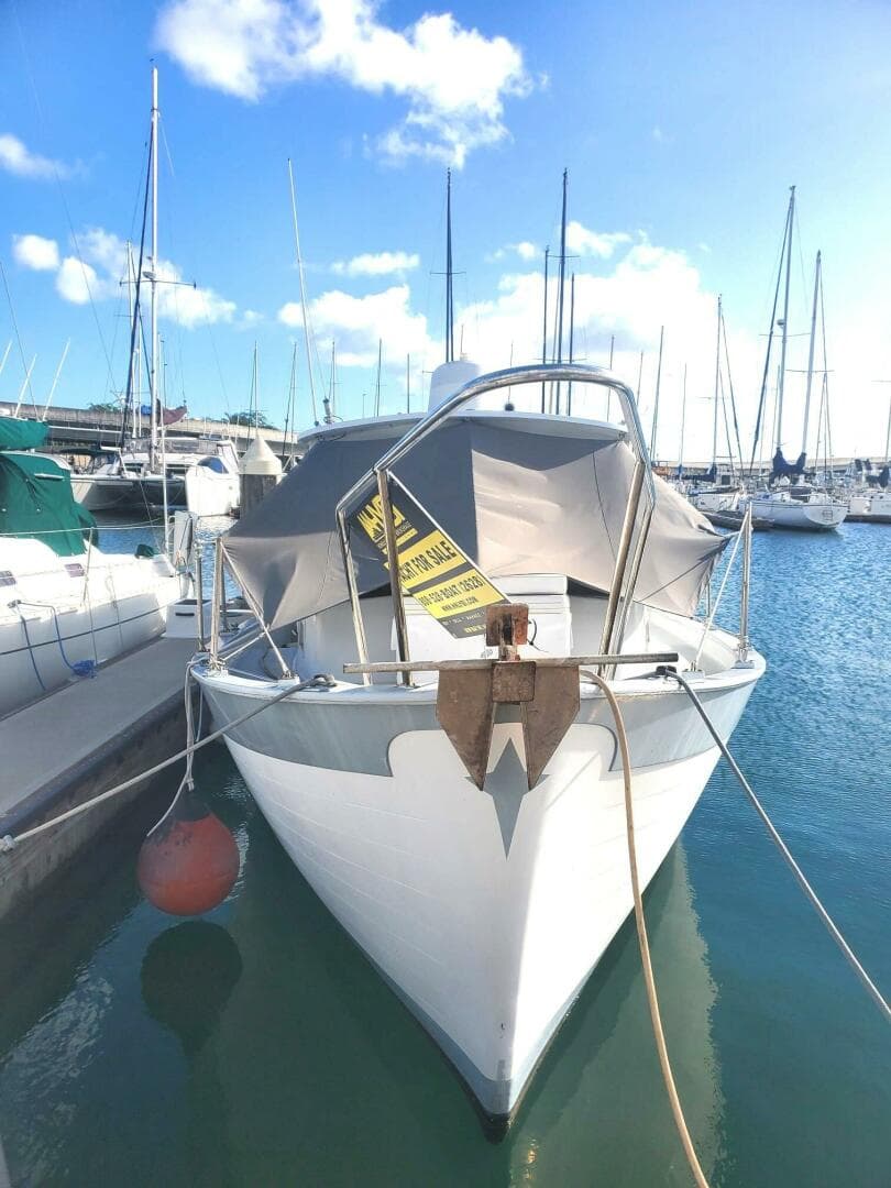 1973 Willard Vega  30 Voyager