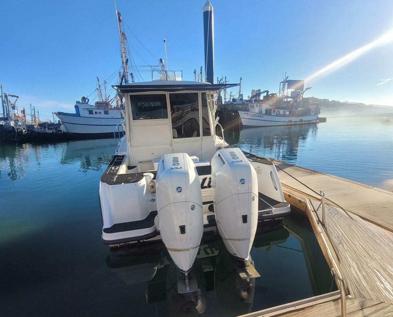 2017 Boston Whaler 315 Conquest