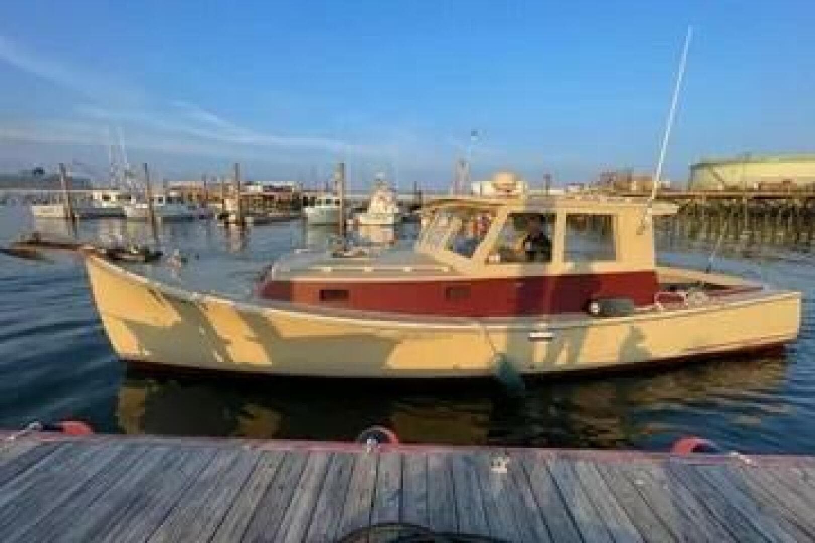 1981 Holland 32 Sport Cruiser