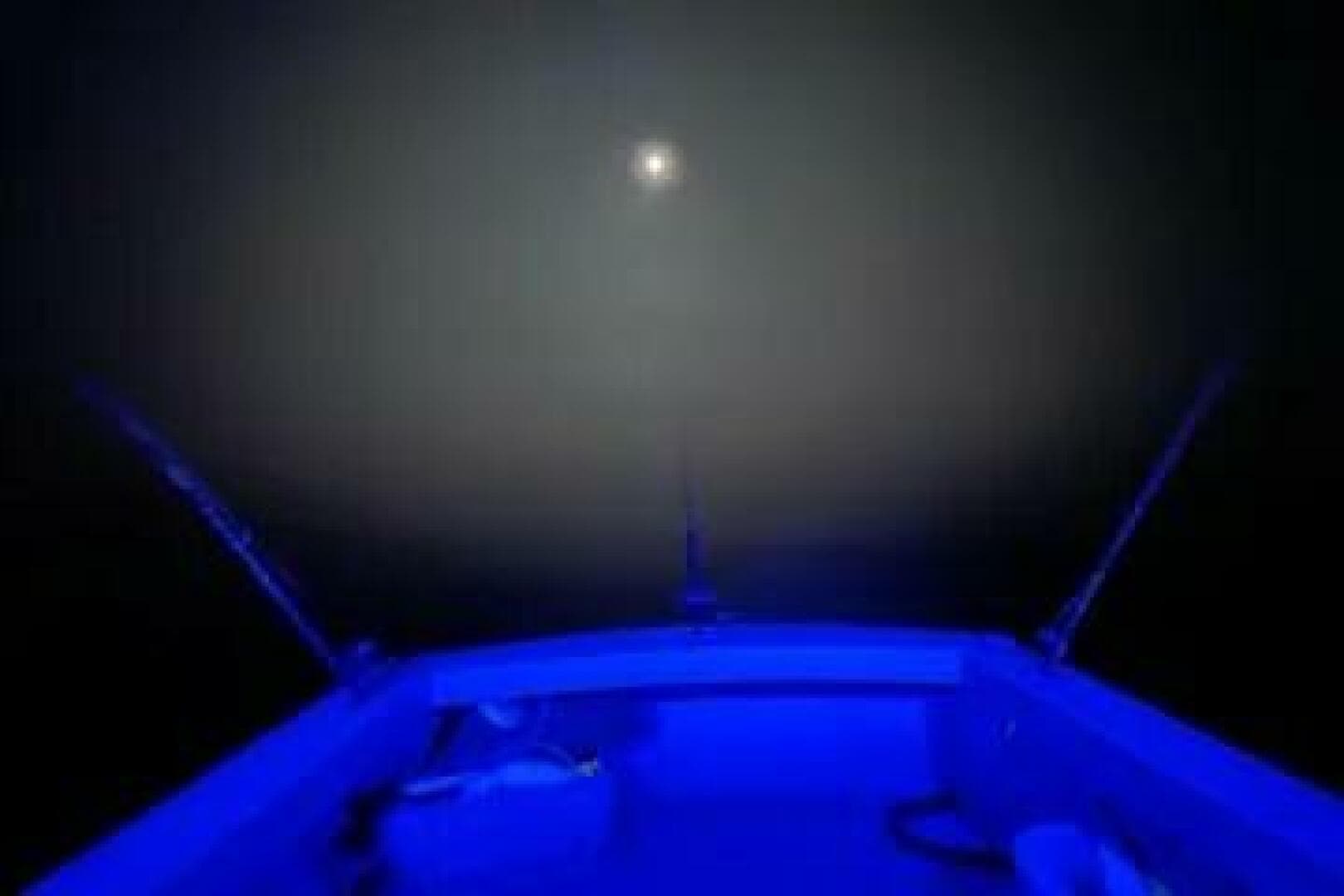 1981 Holland 32 Sport Cruiser