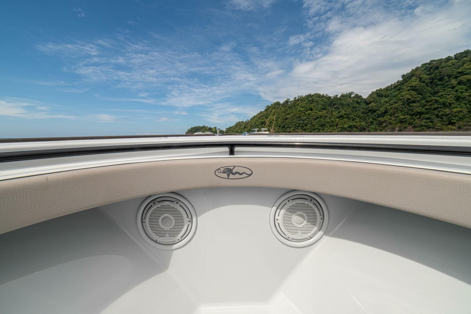 2024 Valhalla Boatworks V-33 "Shit Show"