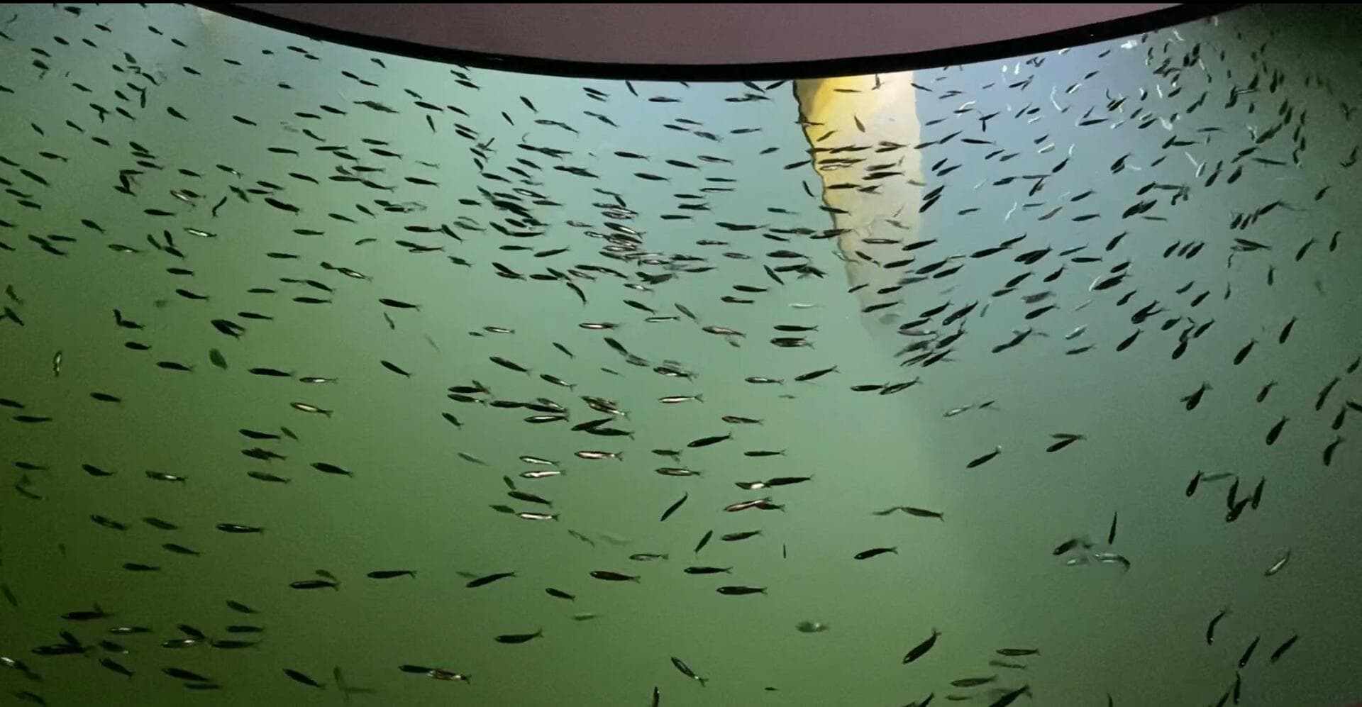 2014 Beneteau Oceanis 55