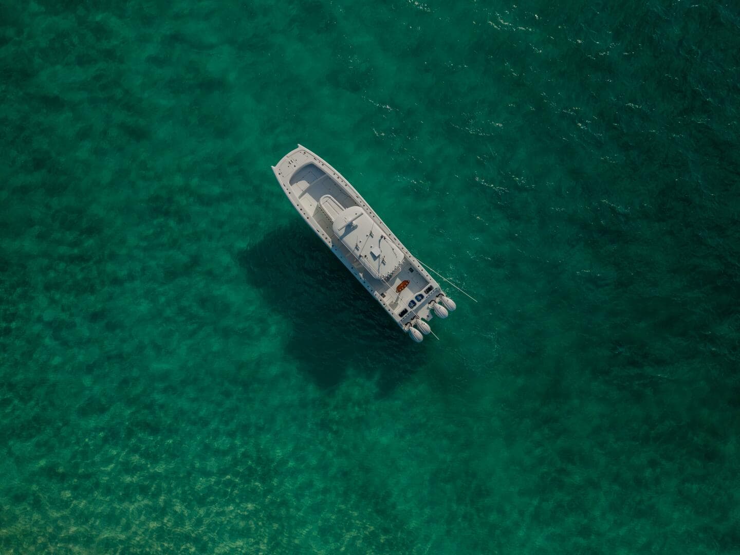 2024 Freeman 45- Just Looking