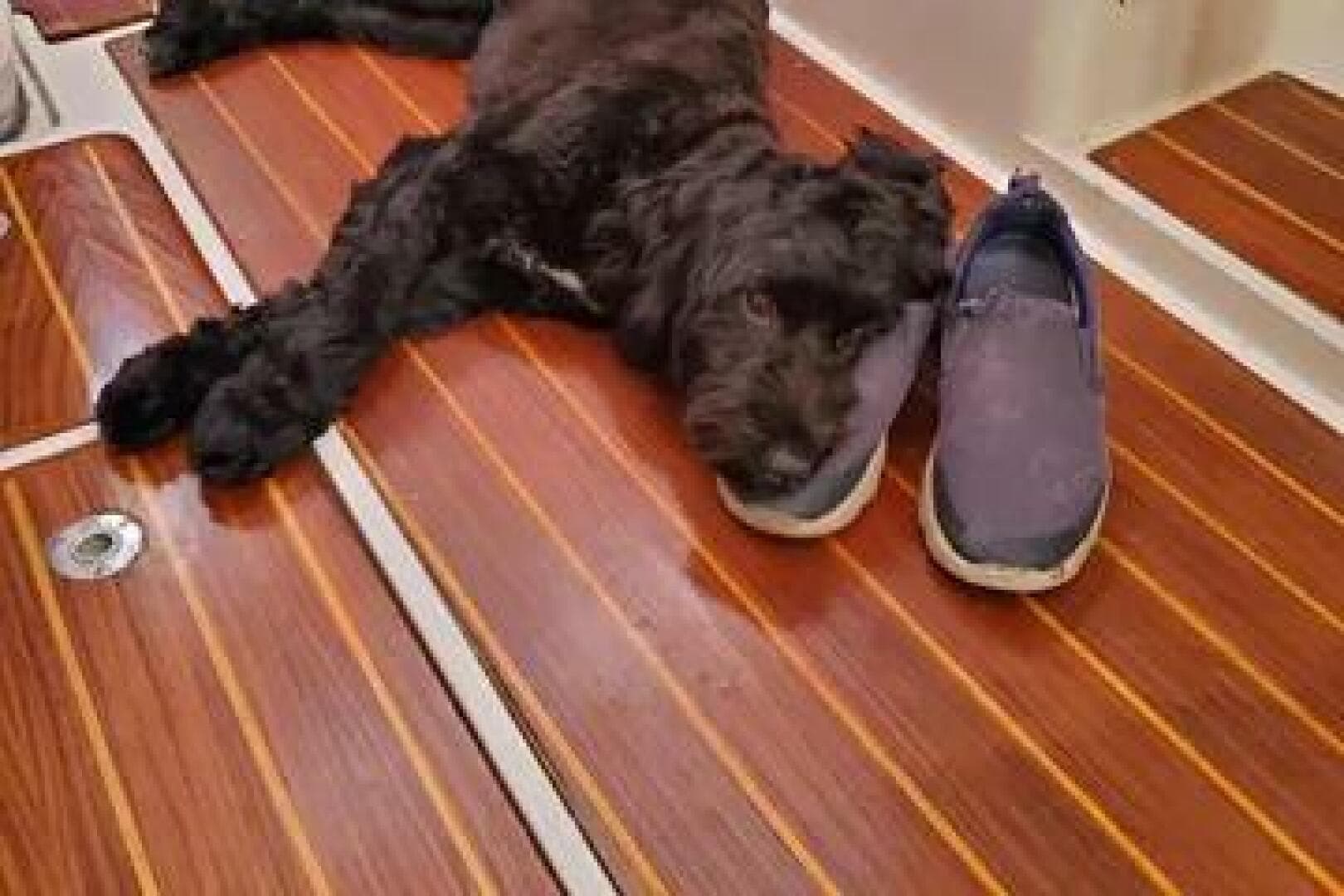 2000 Catalina 36 Mkll