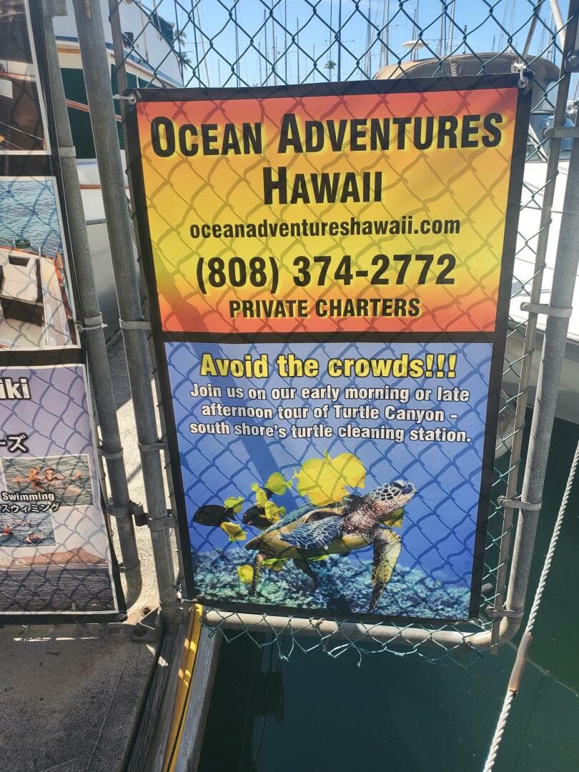 1981 CHB SEDAN-AFT CABIN