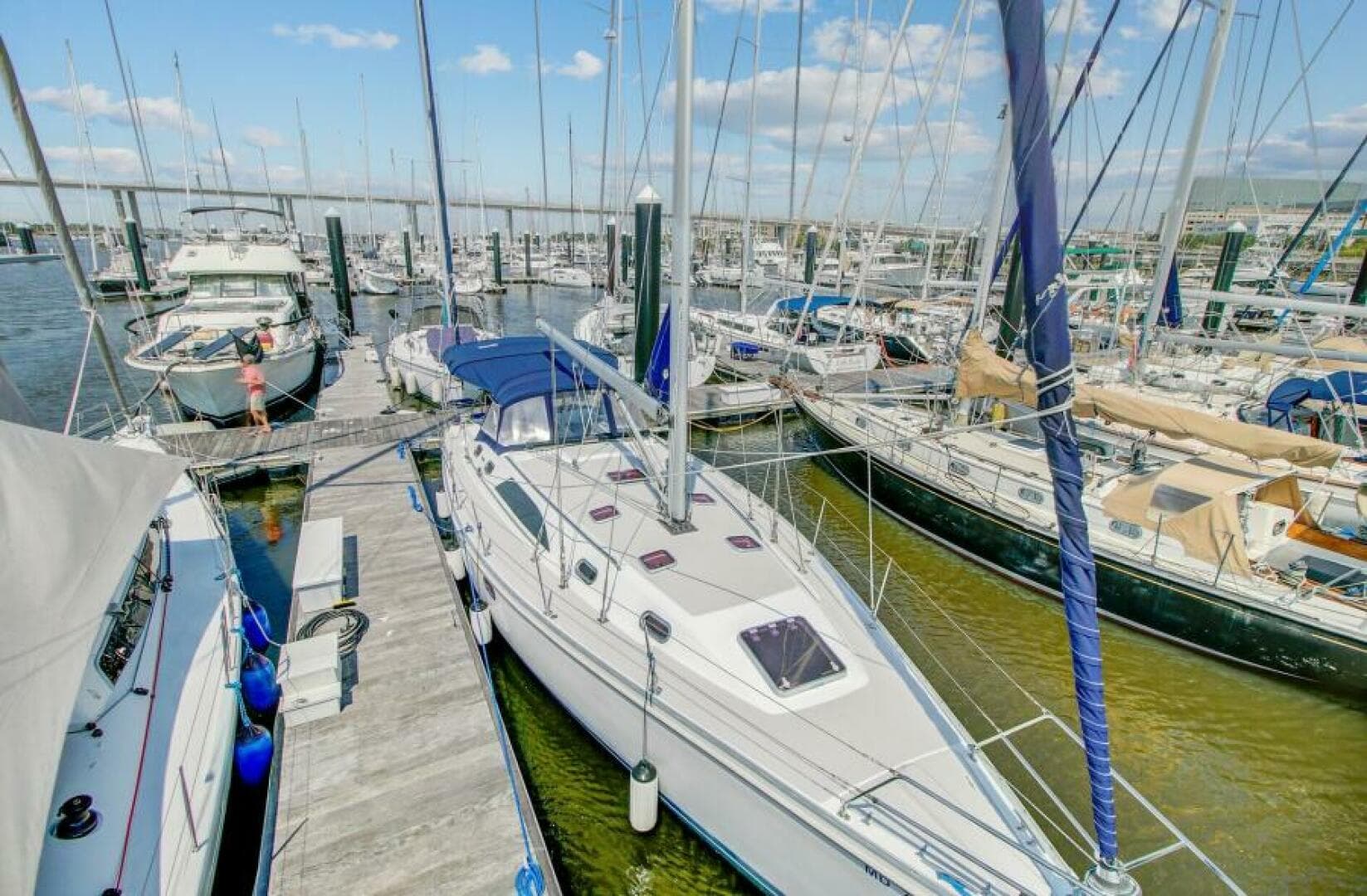 2011 Catalina 445